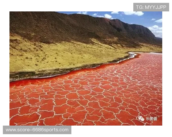 足球星球的神秘面纱揭秘 这颗星球为何被称为足球星